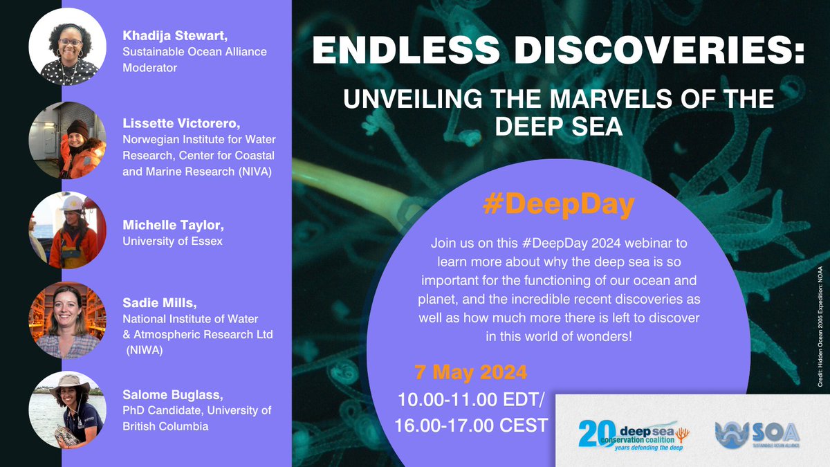 🗓 #DeepDay is coming up! Join @deepseaconserve and SOA for a webinar on 7 May to learn more about why the #DeepSea is so exciting and important, as well as how much more there is to discover in the depths of our ocean 🌊. Register now: bit.ly/3UlYDNh

#DefendTheDeep 🪸