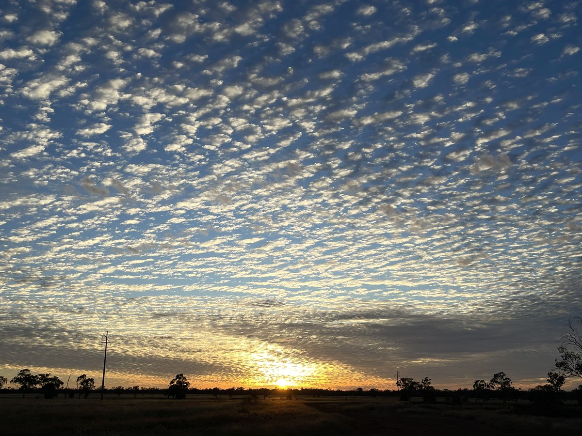 Sunrise in #myoutbackQueensland We all see the same sky but we see it from very different locations. #Remote/#veryremote Australia, designated MMM 6&7 in the health.gov.au/topics/rural-h… face extreme logistical challenges & need to be considered separately. #remoteAustraliansmatter
