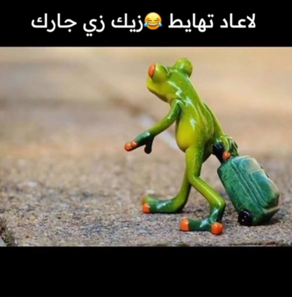 #الهلال_الاهلي 
هههههههههههههههه