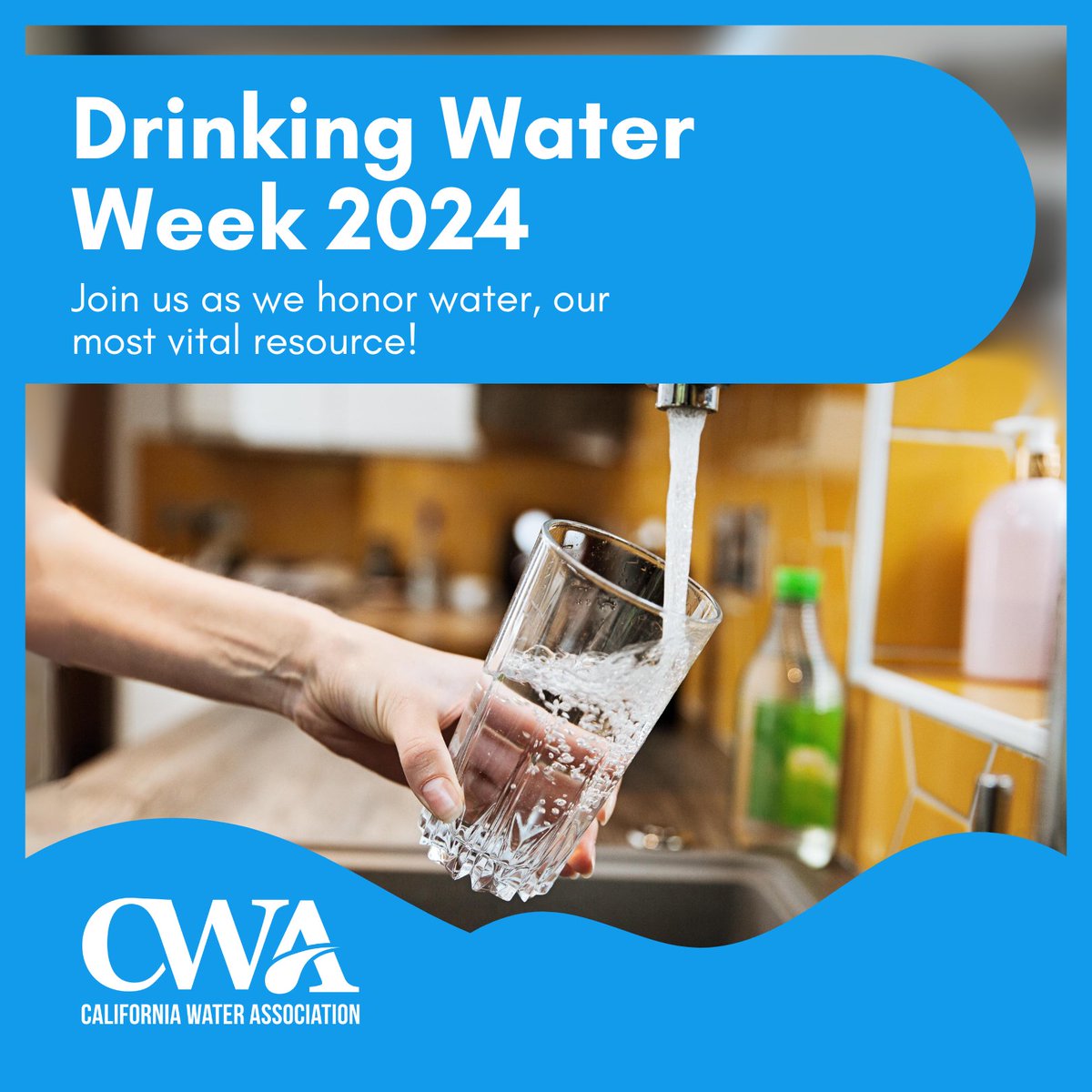 CWAwater's tweet photo. Drinking Water Week!
Clean, safe water is vital. This week, we celebrate its journey from source to tap & our commitment to safety.
Proud of our member utilities' dedication to ensuring water is always there when you need it.
#DrinkingWaterWeek2024 #WaterIsLife #CWACommunity https://t.co/ZYETLRVTa3