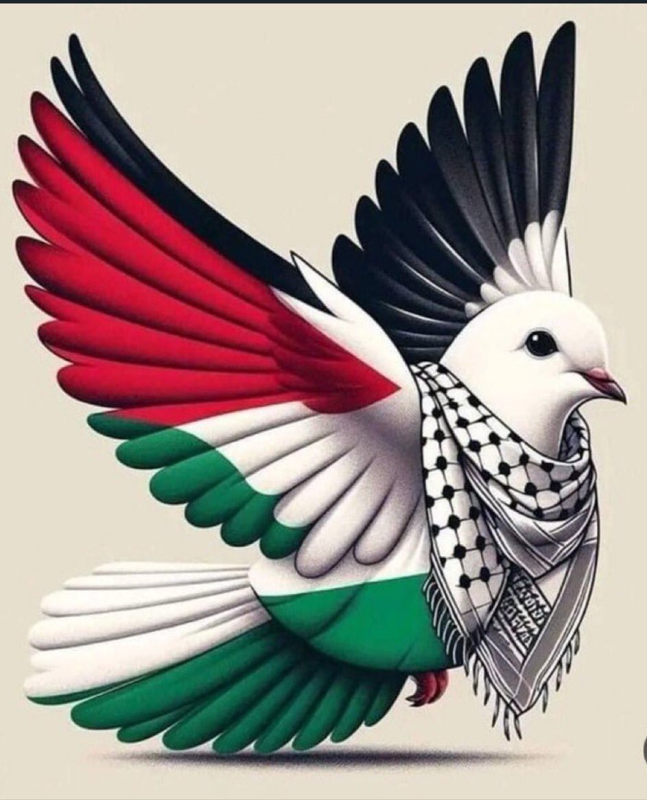 Filistin Özgür Olacak 🇵🇸🇹🇷