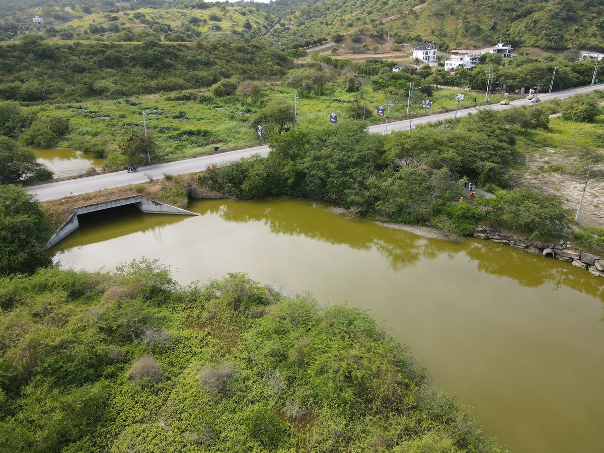 Hacemos eco de la preocupación de la comunidad de Olon por la intervención en el Estero Oloncito, zona protegida que alberga biodiversidad. Al afectar el cause del estero se pone en riesgo de inundación a cerca de 300 familias que viven en la zona.