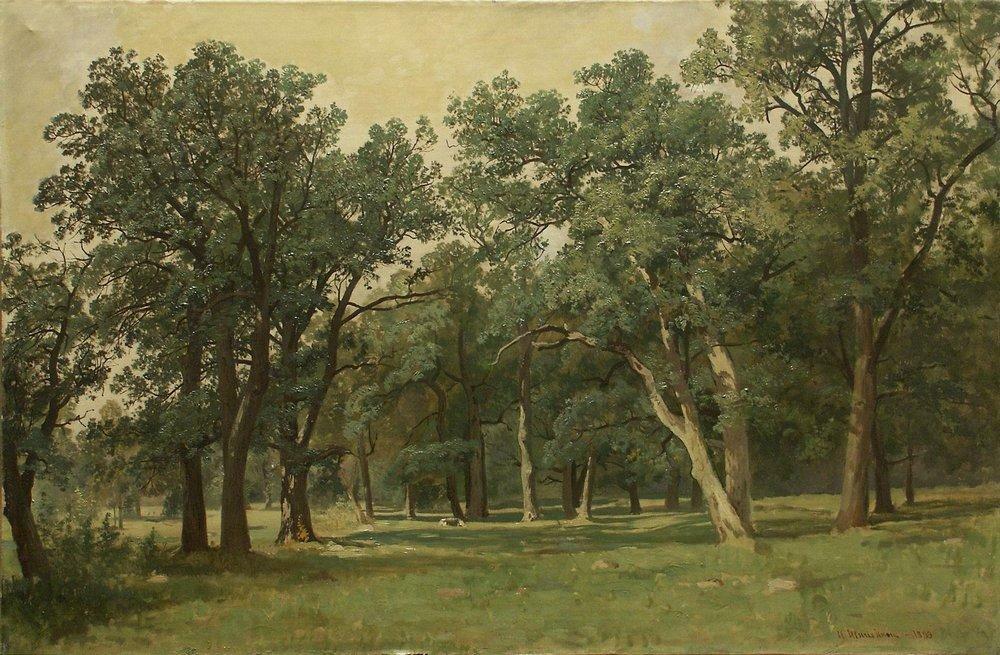 Forest Glade, 1889 Get more Shishkin 🍒 linktr.ee/shishkin_artbot