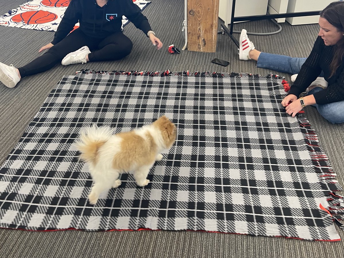 The Red Stars front office had so much fun making blankets to donate to Live Like Roo ahead of our Bark in the Park match! @livelikeroo provides support + financial assistance to families with pets diagnosed with cancer. Together, we make a difference #WithTheStars 🩵🐶