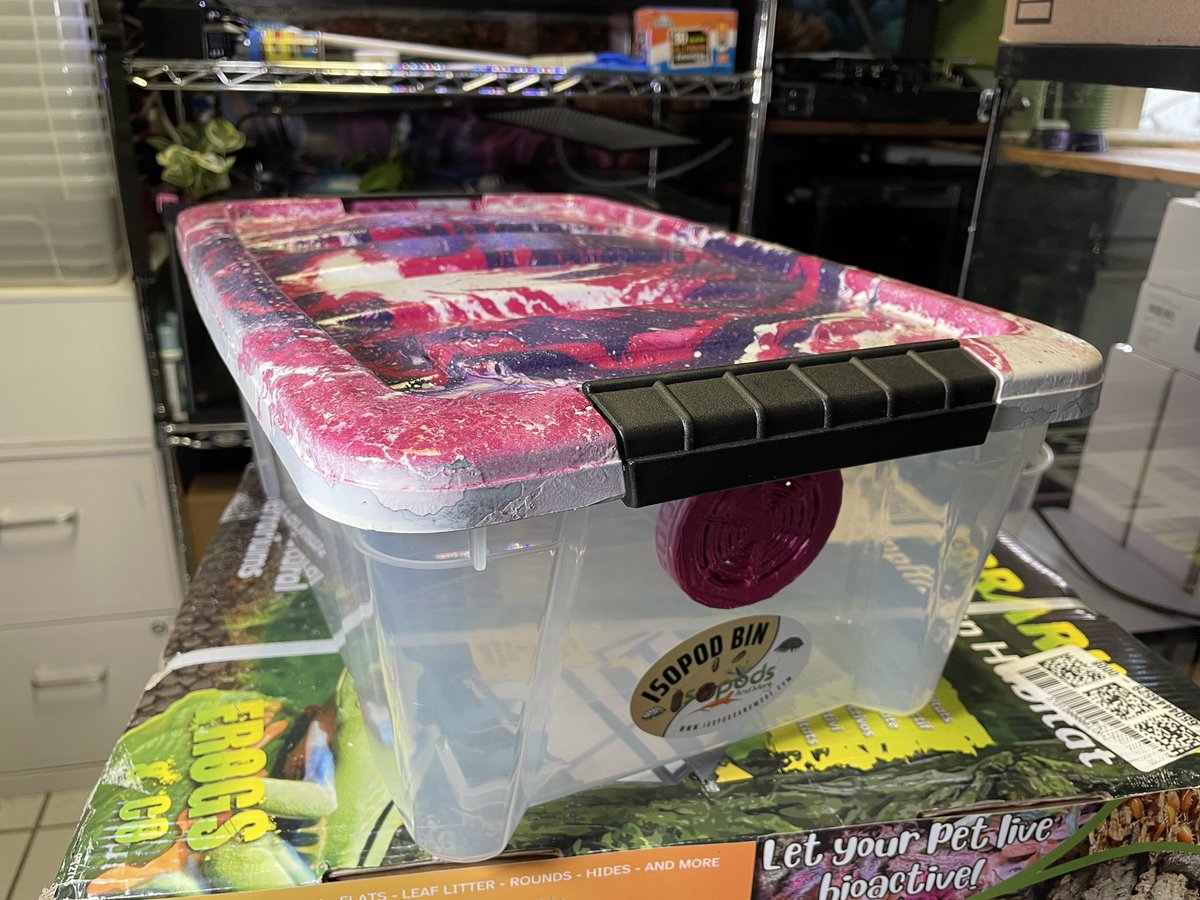 IsopodsAndMore's tweet photo. Who says an #isopodbin can’t be cool and nice to look at? #isopodsandmore #livebioactive #isopods #dartfrogs #beardeddragon #springtails #reptiles #amphibians https://t.co/M6eiiKL6Ov