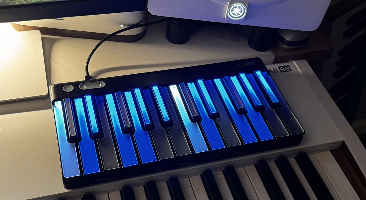 Roli, maker of this device, is a strange company. It looks like it isn’t well managed (I analyse and optimise organizations, so I know a bit what I talking about). But also the marketing: the first time I did see the Roli Lumikeys, it was marketed as a toy. It even had (and still