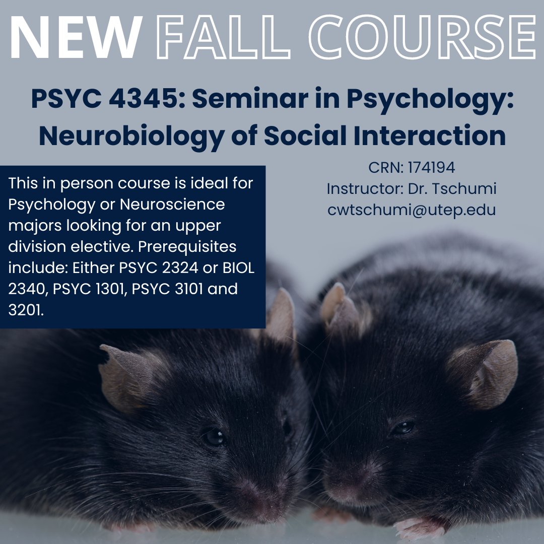 📣Attn: Dr. Tschumi is teaching a NEW upper-division seminar course in Fall 2024, “Neurobiology of Social Interaction.' Especially relevant for psych & neuroscience majors interested in how the brain mediates social behavior! Reach out to your academic advisor today to enroll!