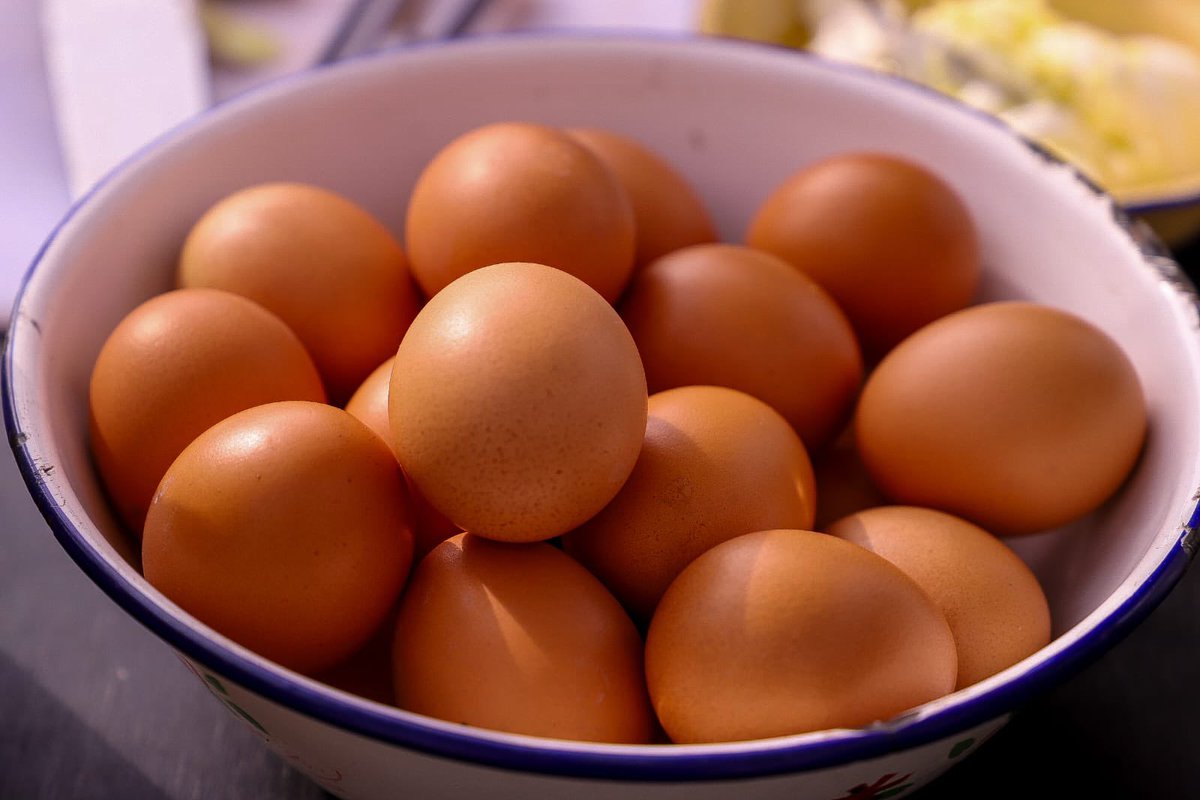 Hoy el ministro @tvalenzuelavt junto a representantes de #ChileHuevos y los directores de @INDAP_Chile y @Agroseguroscl anunciaron los avances en la producción de huevos durante el primer trimestre de 2024 y entregaron recomendaciones de diferentes platos en torno al huevo 🥚…