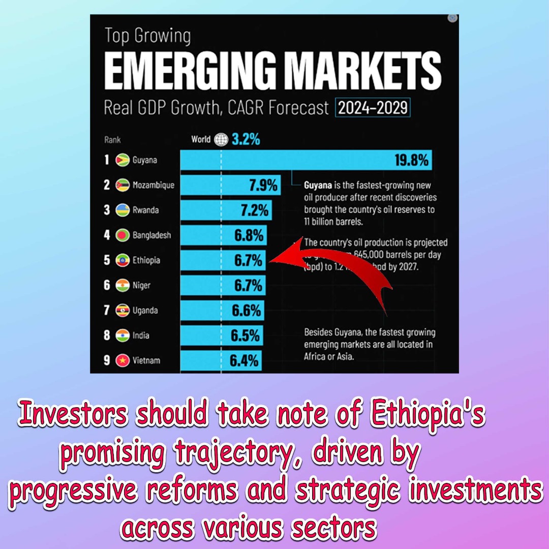 Investors should take note of Ethiopia's promising trajectory, driven by progressive reforms and strategic investments across various sectors
#Abiy_Ahmed 
#Ethiopia_prevails 
#Fast_Growing_Economy