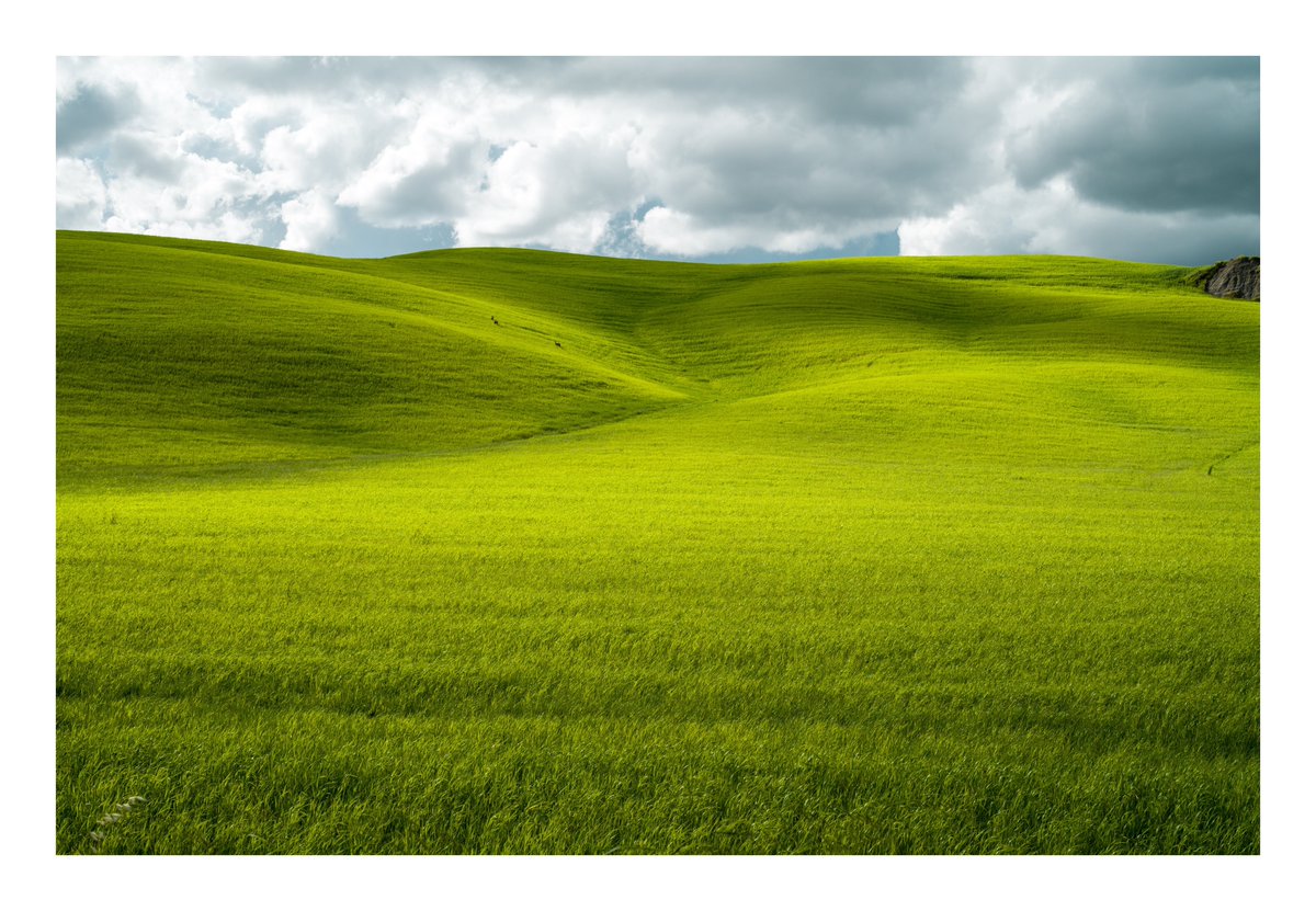 JetBlk's tweet photo. Windows XP vibes with these unreal #Tuscany views.
Simply stunning ๐คฉ ๐ฎ๐น
#LeicaM11 #ChasingLeitz https://t.co/KhB6uPYtPz