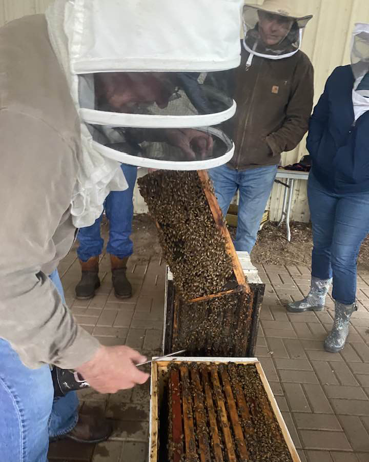 CSU, Chico Center for Regenerative Agriculture tweet media