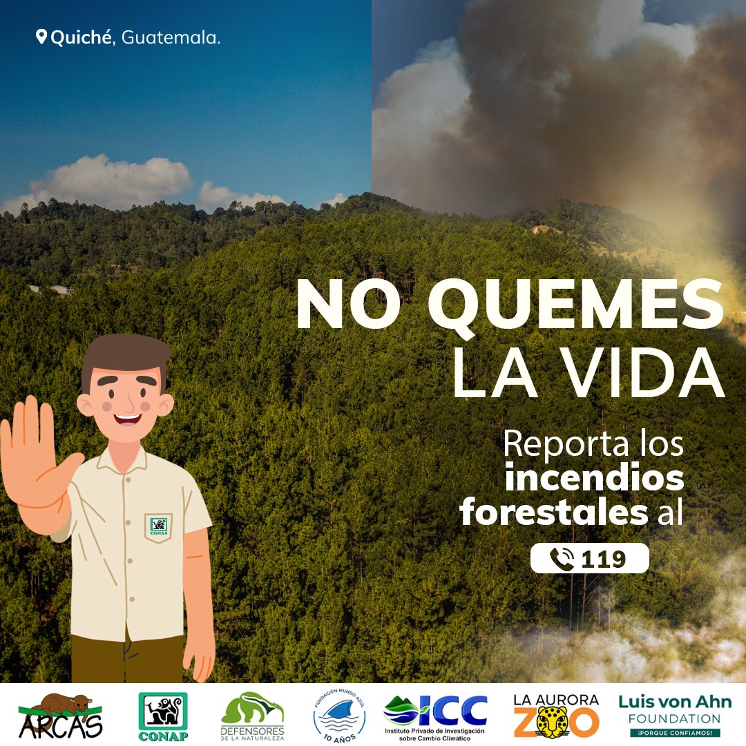 Prevenir los #IncendiosForestales está en nuestras manos ✋, valoremos nuestra #GuatemalaMegadiversa 💚.

Repórtalos al ☎️ 119.

#NoQuemesLaVida #DiversidadBiológica
#ÁreasProtegidasGT  #PrevenirEsConservar #ALTOalosIncendiosForestales