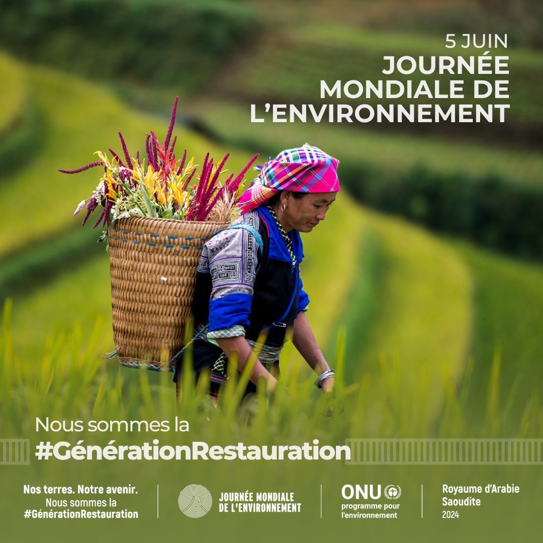 36 % des forêts encore intactes se trouvent sur les terres des peuples autochtones, et les écosystèmes gérés par les #PeuplesAutochtones tendent à être moins dégradés.

Apprenez-en plus sur la #GénerationRestauration buff.ly/4amJ3Hr 
 #JournéeMondialeDelEnvironnement