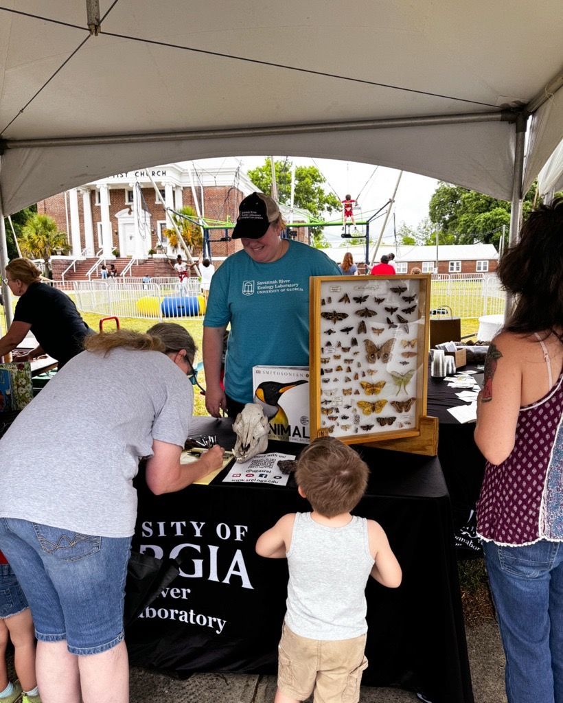 🦉🦋🔬SREL's Outreach team had the opportunity to attend and participate in the annual DIG STEM festival this past weekend in Williston, SC. Despite the cloudy weather and sprinkling rain, SREL joined many organizations to provide a hands-on experience for attendees. #SREL