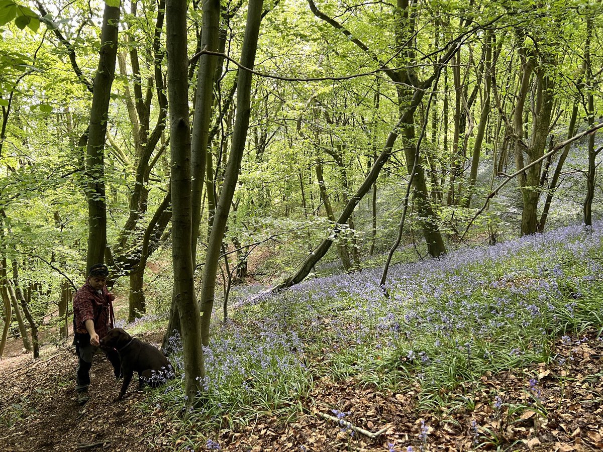 dee_gee25's tweet photo. @ian_wac Here are a few more … it’s just a great time of the year to be out and about … https://t.co/5UhNwmwKSG