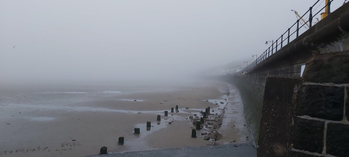 BeckGra's tweet photo. Evening mist over Filey.
#filey #fileybeach #FileyBay #northyorkshirecoast #seaside #mist https://t.co/lReSOq4rrq
