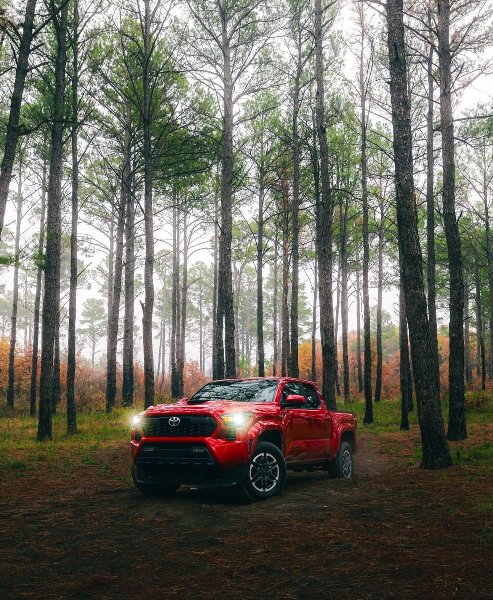 The not so-little red riding hood. #Tacoma 

#fastfairfriendly #lugofftoyota #servicematters #toyotanation #columbiatoyota #toyotalife #toyotacare #toyotaclub #letsgoplaces #toyotalove