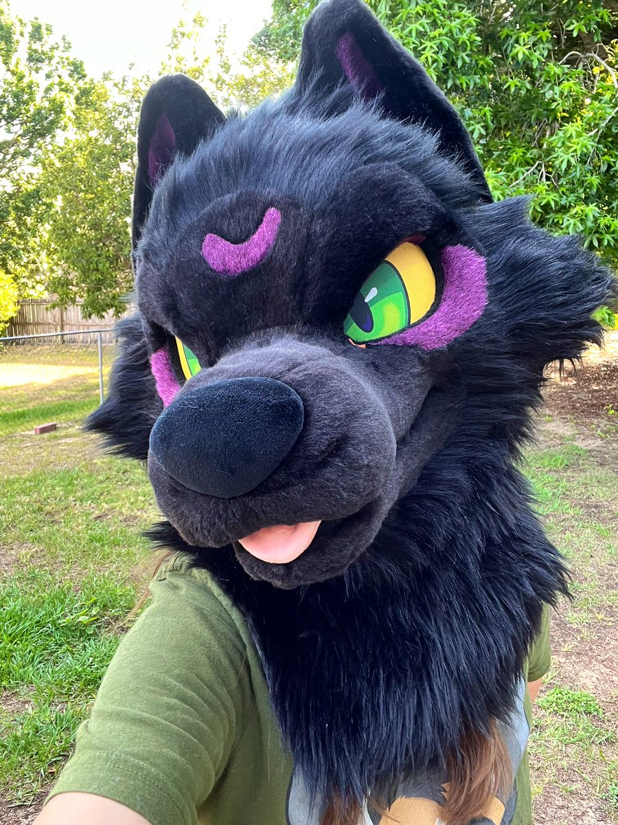 She’s all done!! My very first fursuit head. I had a lot of fun working on it, and I learned so much. Thank you @Latinvixen for being the best friend and teacher I could’ve asked for. Look for me at FWA~