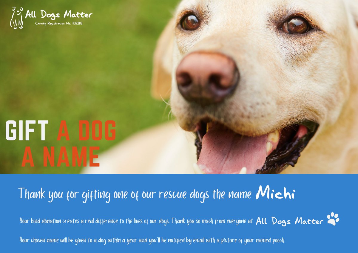 Day 55 of 100! We have just named our 55th rescue dog “MICHI”. After @michionsolana 45 More Rescue Dogs to Go! 🐶 #Charity @AllDogsMatter #100dogmission #ForAda #TolysDog $ADA #MemeCoinSeason #meme #memecoin #Defi #SolanaCommunity #SolanaMobie 

*PLEASE NOTE THIS IS A