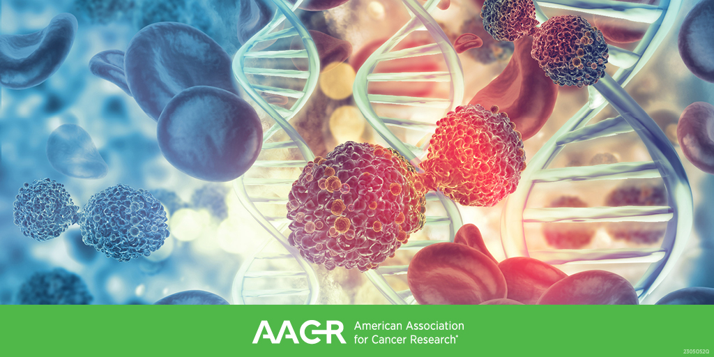 Researchers are actively working to develop tests that are less invasive, safer, and can detect multiple types of cancer. The @AACR Cancer Progress Report explores how these tests could impact cancer care. bit.ly/3WAReg1 #NCRM24