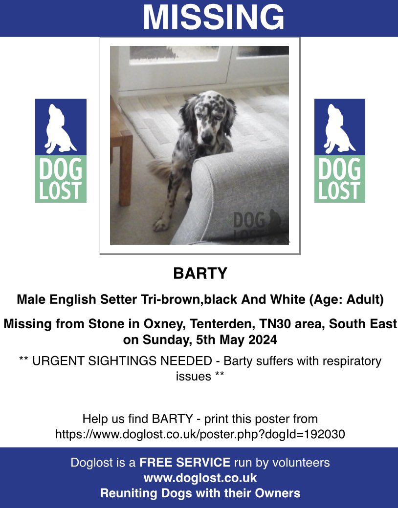 🆘URGENT SHARES - BARTY SUFFERS WITH RESPIRATORY ISSUES🆘 BARTY missing #Stone in #Oxney #Tenterden #TN30 SOUTH EAST 5/5/24 Male/adult #EnglishSetter Tri-coloured Brown, black & white NO SCARS BUT SYMMETRICAL MARKINGS ON FACE Chipped & Neutered doglost.co.uk/dog-blog.php?d…