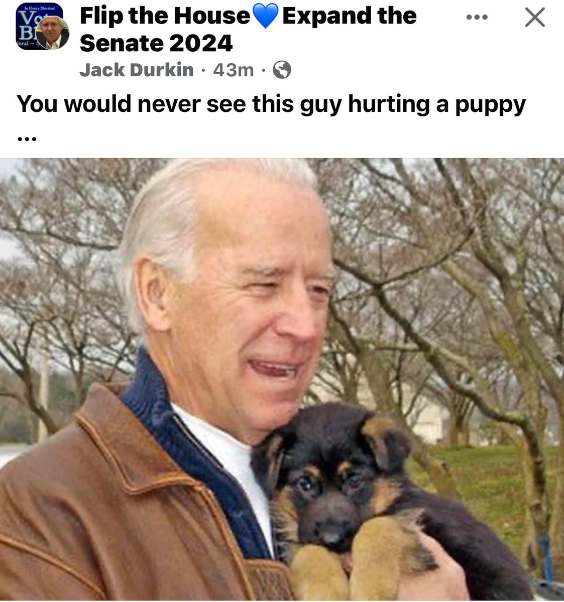 Simple President Biden’s Always Been “Joe” The Same “Joe” Who Protects Women’s Rights Who Rode The Train To Work Everyday The Same “Joe” Who Has Empathy, Integrity & Not One Scandal No Matter How Fuhrer45 Weaponized His AG BARR & His Henchmen Nothing But Smoke & Mirrors