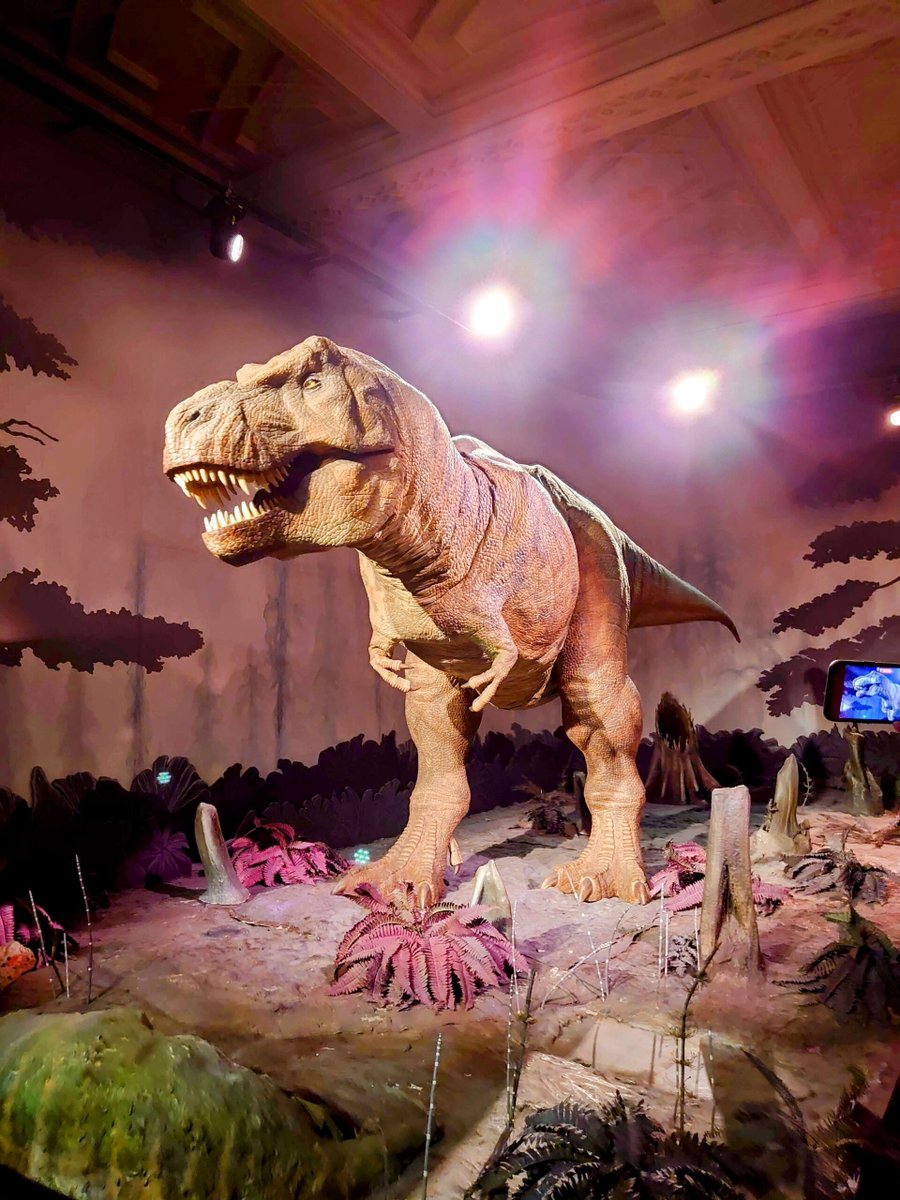 SimoneMesse's tweet image. The Natural History Museum building itself is a work of art❣️