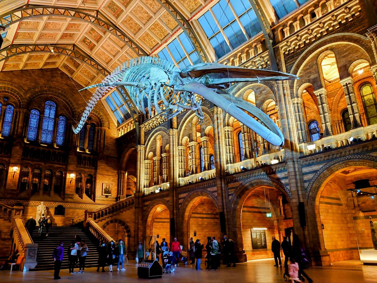 SimoneMesse's tweet image. The Natural History Museum building itself is a work of art❣️