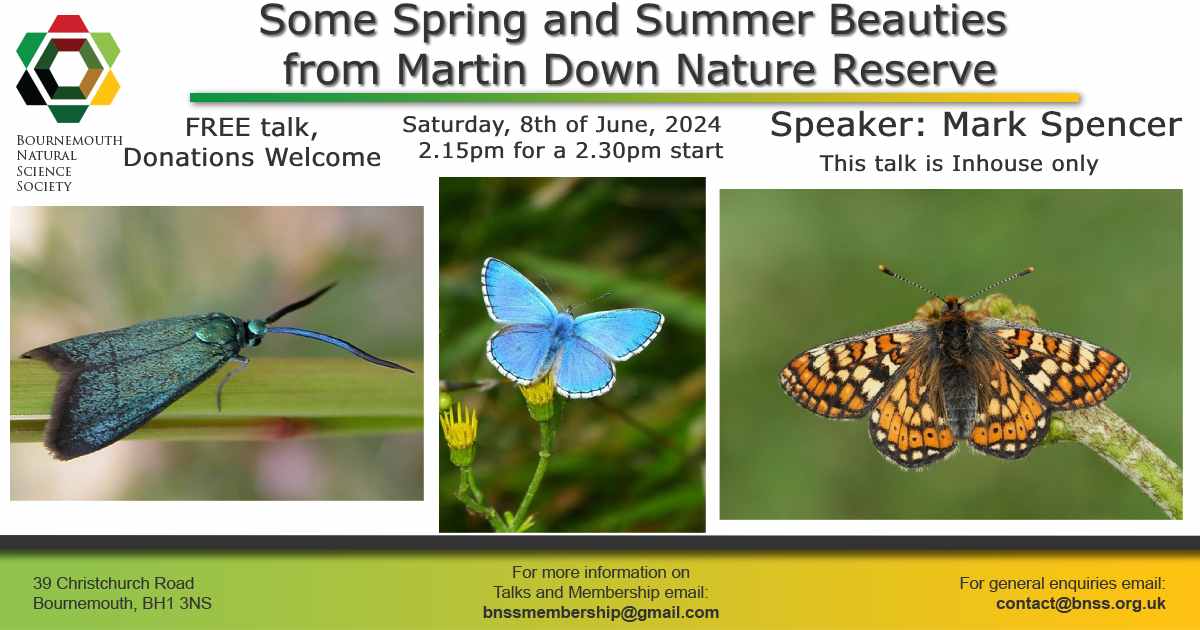 Bournemouth Natural Science Society & Museum (@bnss1) on Twitter photo 