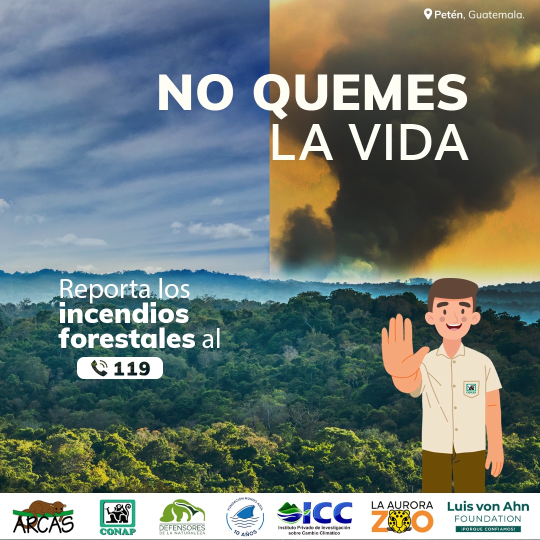 Prevenir los #IncendiosForestales está en nuestras manos ✋, valoremos nuestra #GuatemalaMegadiversa 💚.  Repórtalos al ☎️ 119.  #NoQuemesLaVida #DiversidadBiológica #ÁreasProtegidasGT  #PrevenirEsConservar #ALTOalosIncendiosForestales