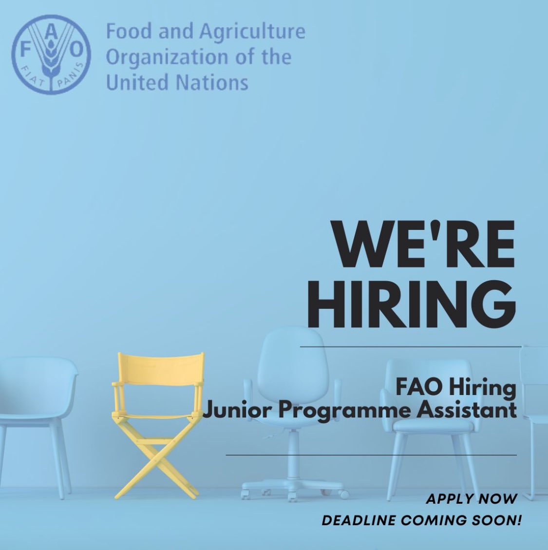 Calling All Candidates: FAO Hiring Junior Programme Assistant! lnkd.in/dPHejupR
Are you passionate about global development and sustainability? FAO is seeking a dedicated Junior Programme Assistant to join their team.
#FAO #JuniorProgrammeAssistant #GlobalDevelopment