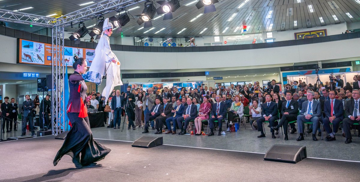 1/3 Today, the Opening Ceremony of 2024 Vienna United Nations #Chinese Language Day was held successfully in VIC. More than 700 guests were able to explore the vivid story of civilization and development in Guangxi, China. @DiscoverGuangxi