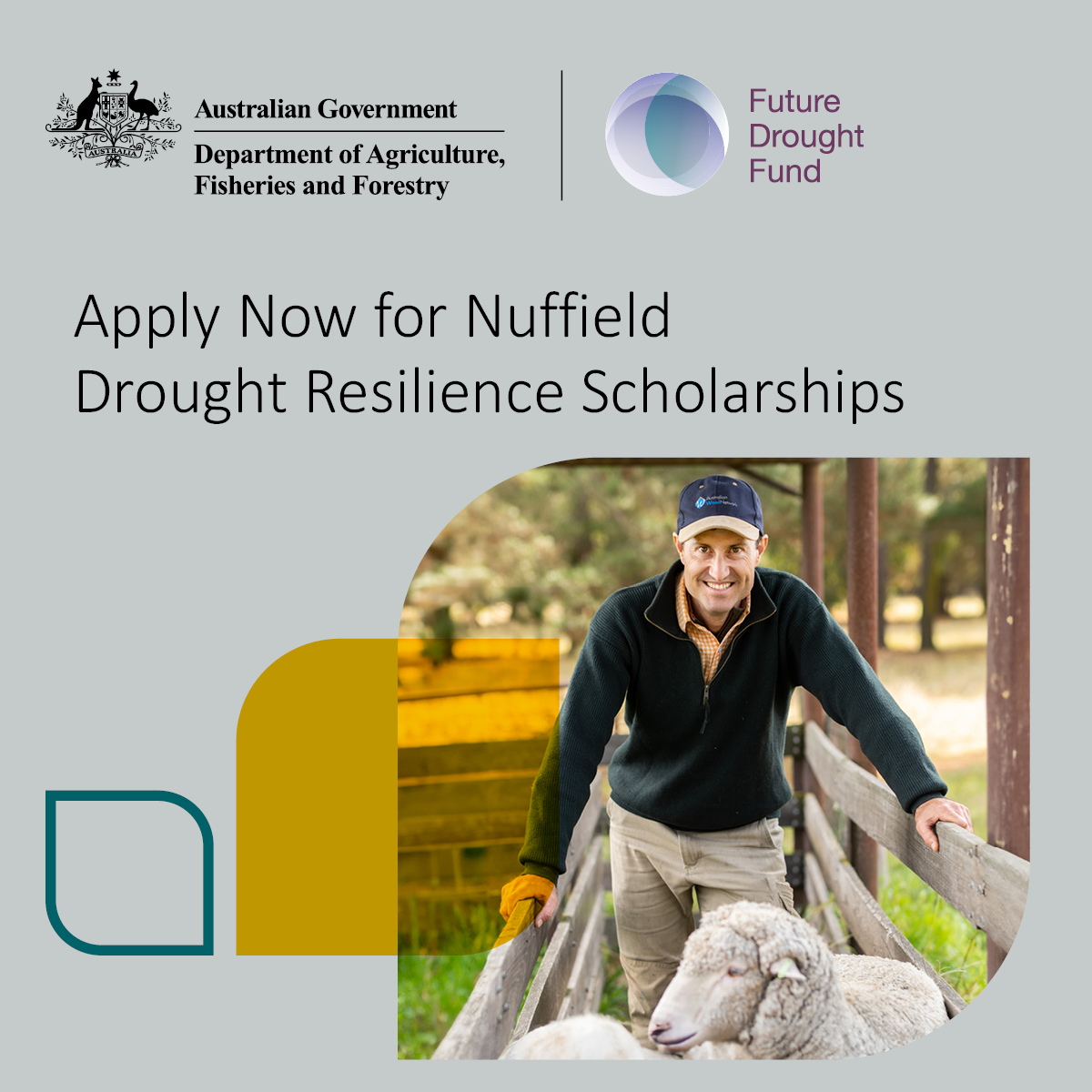 Grower Group Alliance (@gga_wa) on Twitter photo 📣 Scholarship applications CLOSING SOON
Applications for <a href="/nuffieldaust/">Nuffield Australia</a> #droughtresilience scholarships for Aussie farmers close 31 May, supported by <a href="/DAFFgov/">Department of Agriculture, Fisheries and Forestry</a>’s #FutureDroughtFund.
5 scholarships valued at $40k each.
Learn more and apply at 👉 nuffield.com.au/how-to-apply 📣 Scholarship applications CLOSING SOON
Applications for <a href="/nuffieldaust/">Nuffield Australia</a> #droughtresilience scholarships for Aussie farmers close 31 May, supported by <a href="/DAFFgov/">Department of Agriculture, Fisheries and Forestry</a>’s #FutureDroughtFund.
5 scholarships valued at $40k each.
Learn more and apply at 👉 nuffield.com.au/how-to-apply