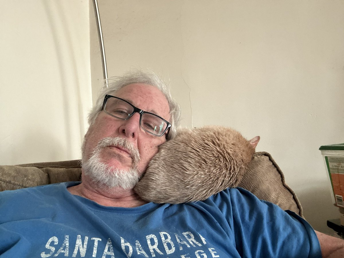 Cat butt pillow. Started of nice n comfortable for us both. Now it’s just cozy for one of us and it ain’t me #Sailor #CatsOfTwitter #CatDad #AdoptDontShop #CatNap #CatButt
