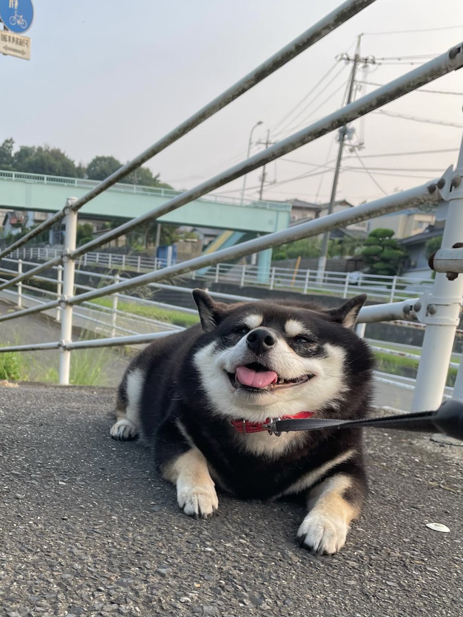 GW明け…
みんな頑張れよ
U^ェ^U👍