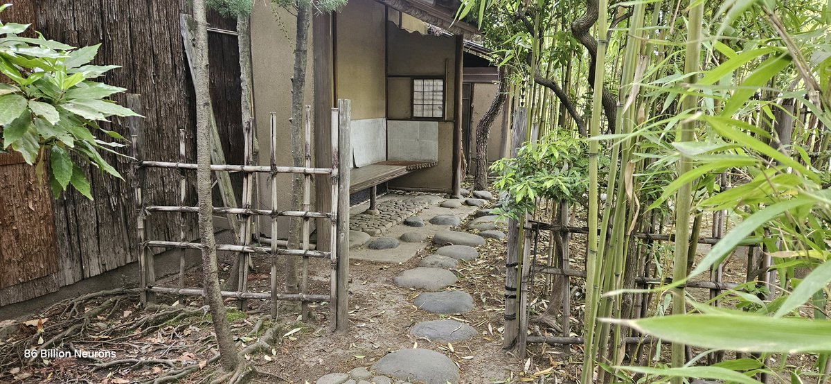 Colourful 🇯🇵

Gardening Peacefulness.