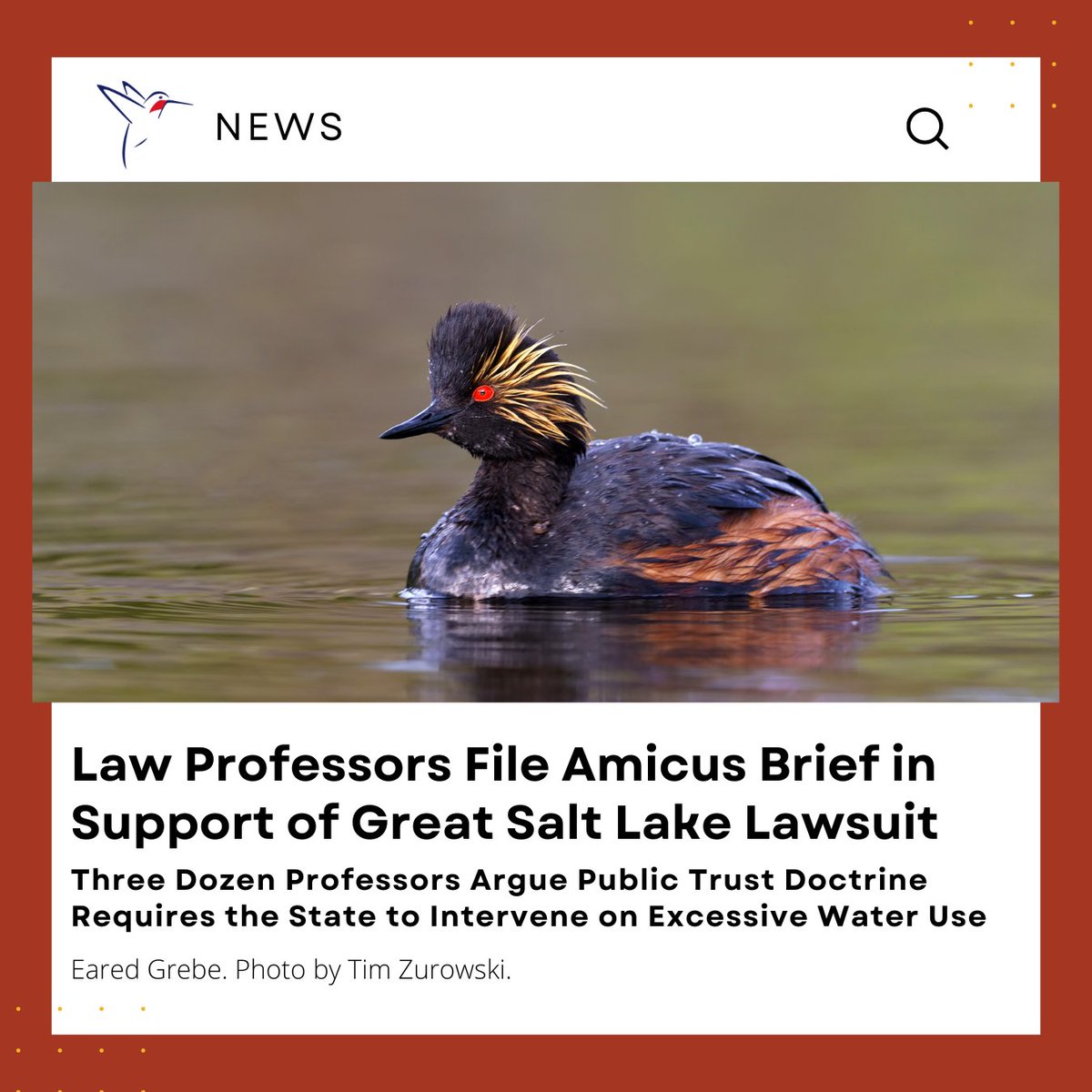 'The Great Salt Lake is irreplaceable for the millions of saline-dependent birds that need it for survival,' said Michael J. Parr, ABC President. 'The state has a responsibility to preserve the Great Salt Lake while we still have the chance.' bit.ly/4dlfA34 #SaltLake