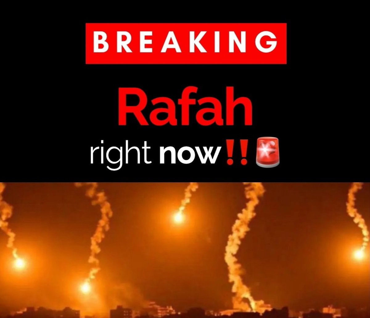 Nicolò Monti tweet media