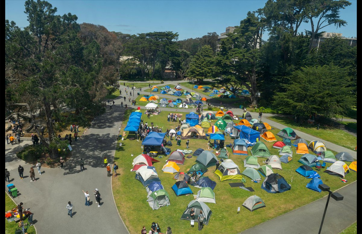 The tent encampment at San Francisco State University today. Photo from @alevywolins