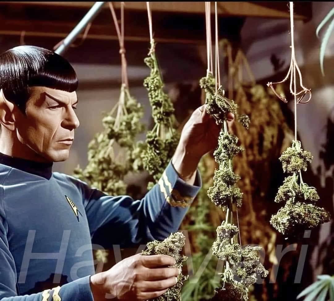 Spock got that gas!