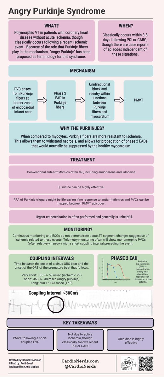 Rachel Goodman (@goodmra1) on Twitter photo In this week's edition of things-I-got-wrong-on-rounds-and-then-turned-into-something-for-cardionerds I present to you...an infographic about Angry Purkinje Syndrome 😡
<a href="/CardioNerds/">CardioNerds</a> #DrMadiasNeedsATwitter
(click to see the whole thing!) In this week's edition of things-I-got-wrong-on-rounds-and-then-turned-into-something-for-cardionerds I present to you...an infographic about Angry Purkinje Syndrome 😡
<a href="/CardioNerds/">CardioNerds</a> #DrMadiasNeedsATwitter
(click to see the whole thing!)