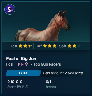 Top Gun Racers tweet media