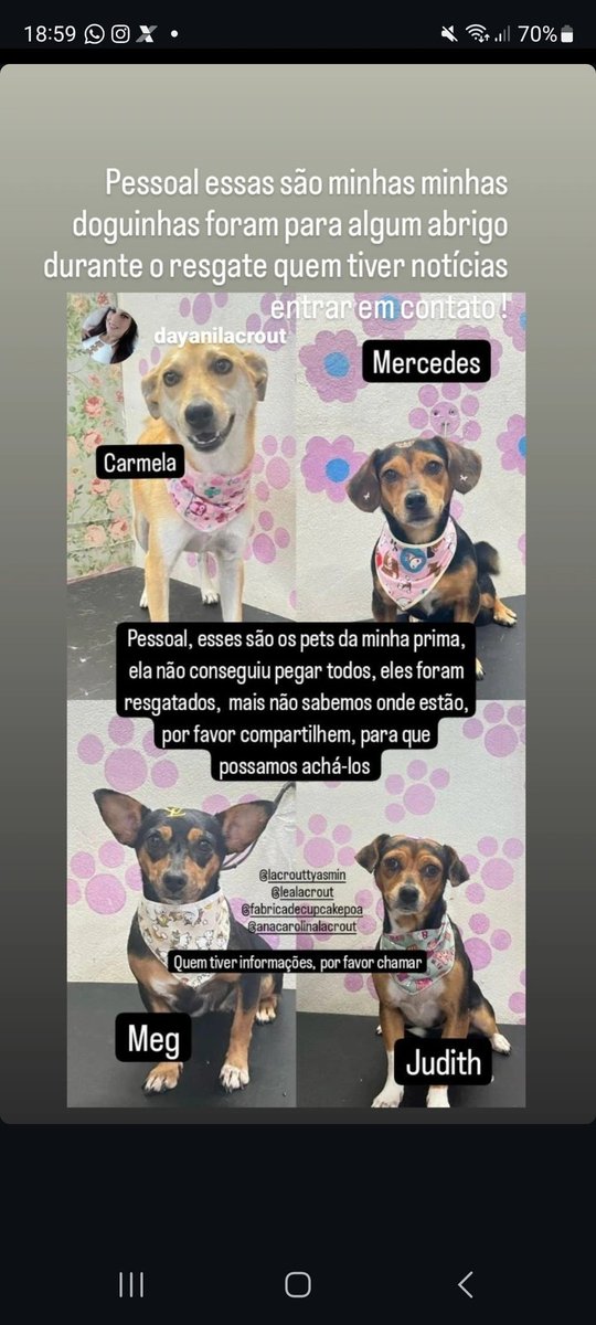Por favor se alguém puder ajudar eu e minha família 
Principalmente pra achar nossos animais