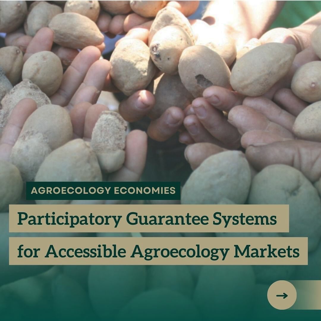 New story on our website with in depth coverage from our PGS webinar, including full multi-lingual recording of the conversation and a list of resources about PGS from grantee partners! Read more: agroecologyfund.org/participatory-…