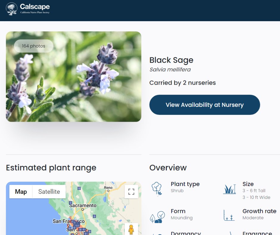 Introducing a beautifully redesigned & updated NEW #Calscape, created for CA #NativePlant gardeners, landscape professionals, and nurseries. Check out all the new features & let us know what you think: bit.ly/calscape-x