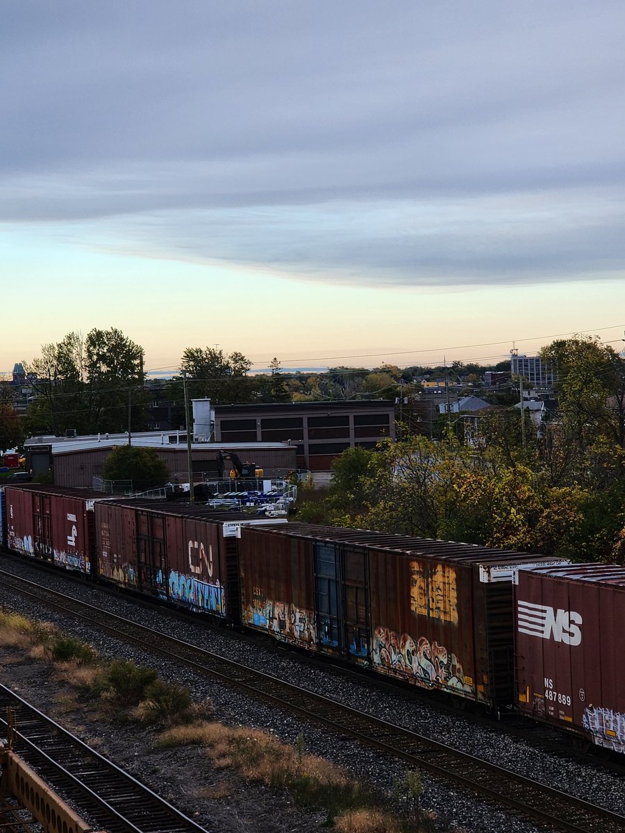 LucidLumeMusic tweet media