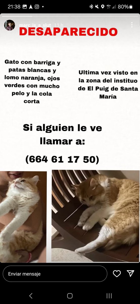 Sadly, my bestie's cat went missing. Please, repost and share this so more people can help searching for her😭❤️

#BTSARMY #Seventeen #ITZY
#BlackpinkInYourArea #P1Harmony #MetGala #StrayKids #TXT #Cat #missingpet #Valencia