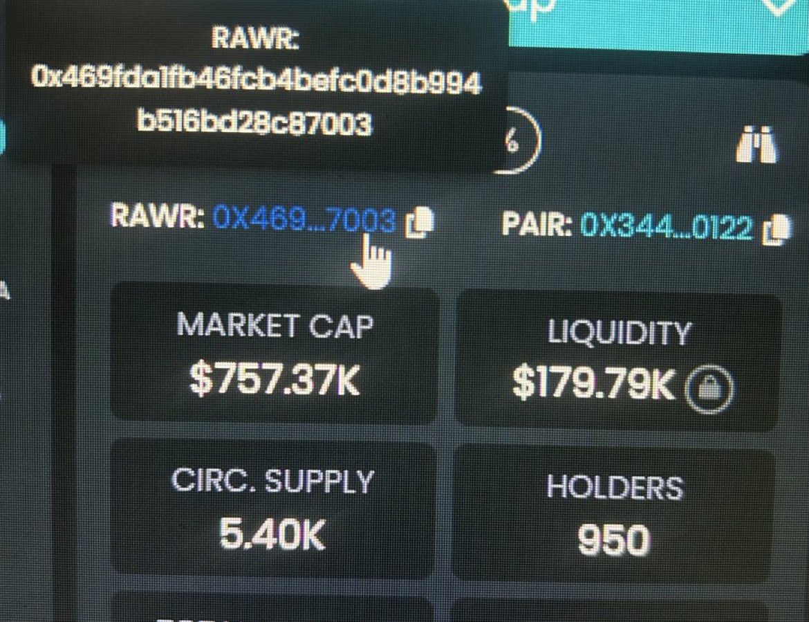 #RAWR.   Only buying microcaps with insane tokenomics during the bear market.