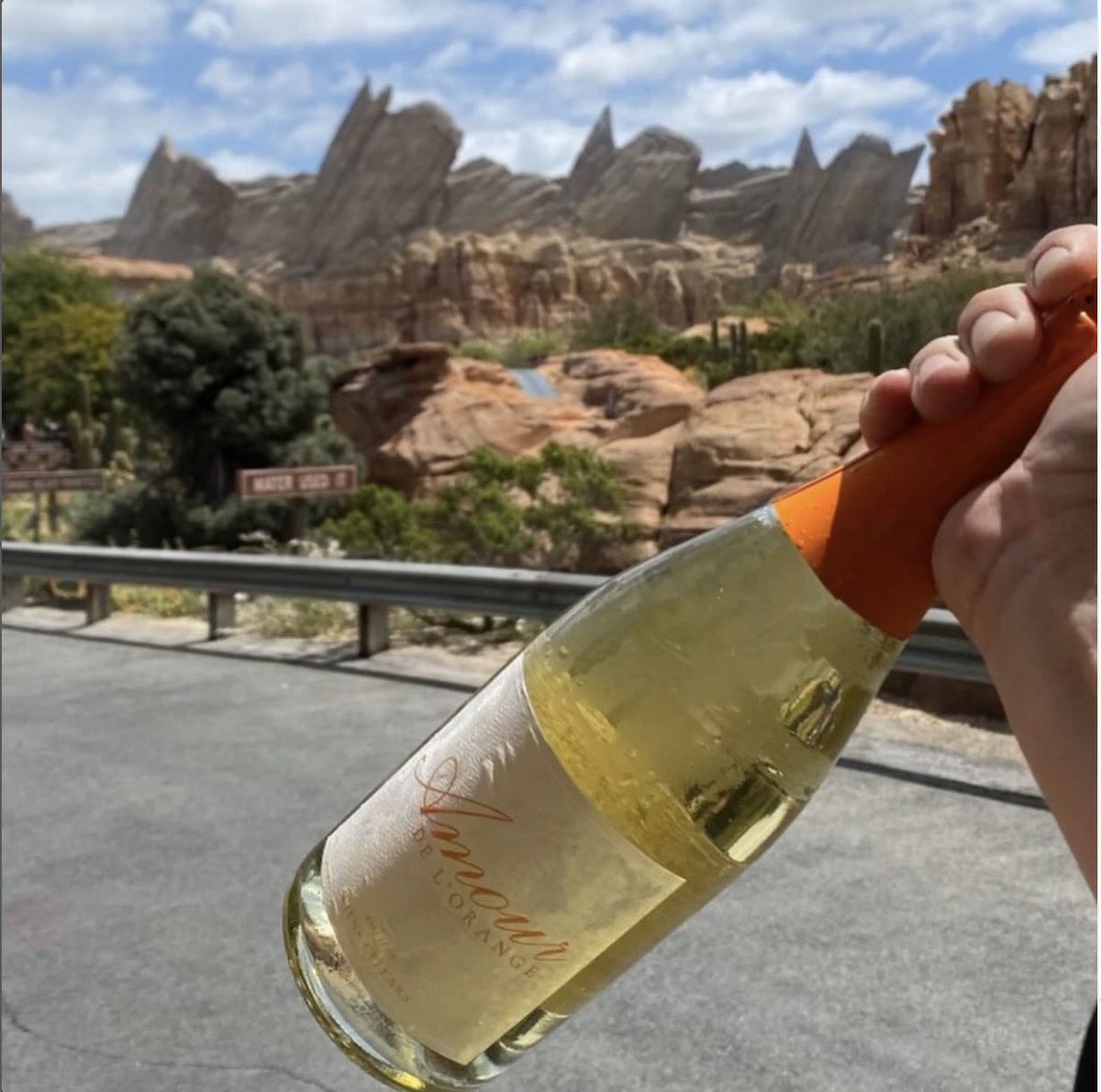 It’s been an exciting few weeks at Wiens Family Cellars ... Now, they’re proud to say they get to share that passion with people from all over the world at the Mendocino Terrace in Disneyland Resort’s California Adventure Park 🍾🧡

#disneyland #disneycaliforniaadventure