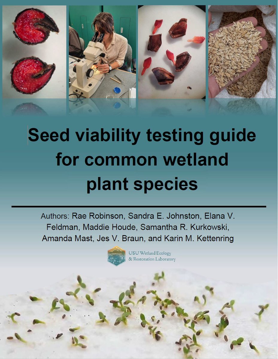🌱 Wondering about seed viability testing for wetland plant species? 🤔 Check out this comprehensive guide!  #WetlandConservation #SeedViability #Ecology101 🌿Download for free here: tinyurl.com/evachxun